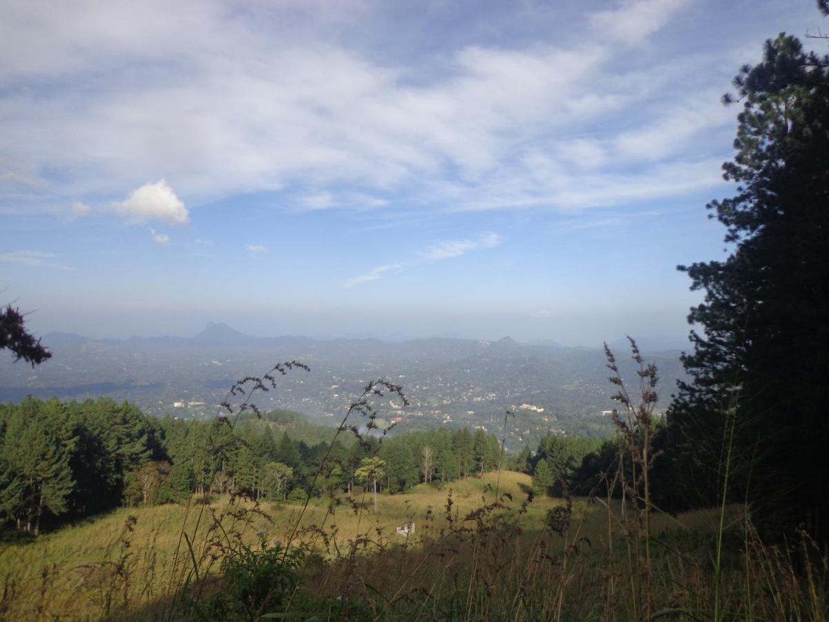 Nisha Homestay Inn Peradeniya Exterior photo